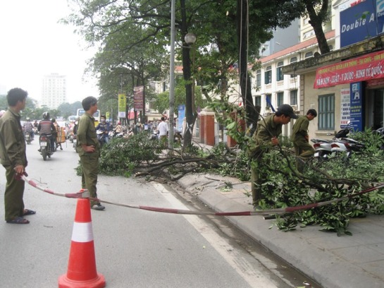 C&ocirc;ng nh&acirc;n phong tỏa vỉa hè khi đang ti&ecirc;́n hành chặt hạ c&acirc;y