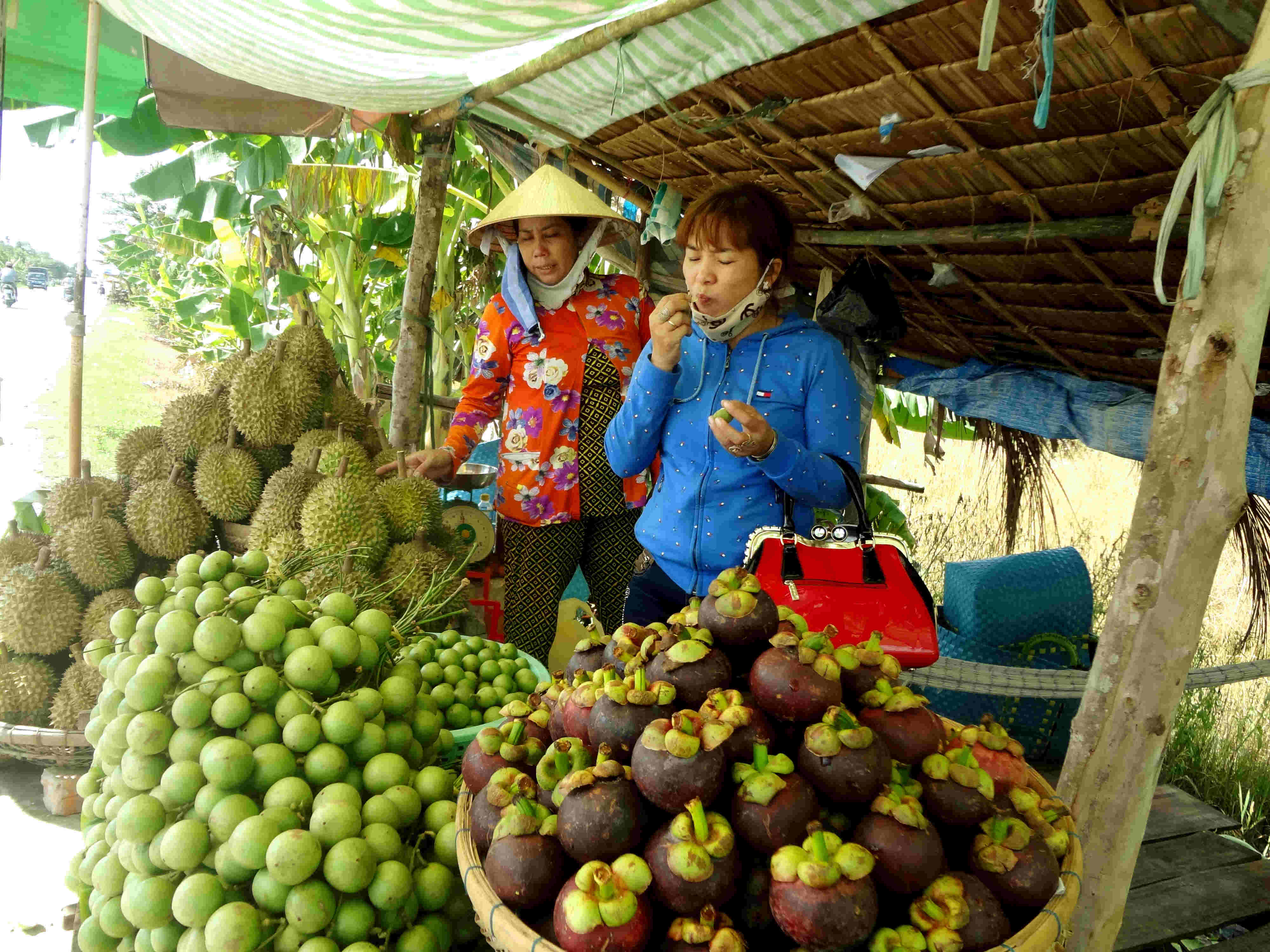 Do n&ocirc;ng sản bị thương l&aacute;i &eacute;p gi&aacute;, nh&agrave; vườn đ&agrave;nh đem ra ven đường để b&aacute;n kiếm th&ecirc;m thu nhập