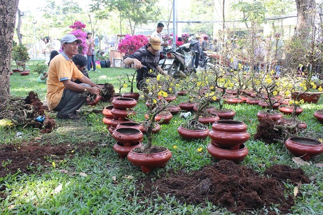 Khi thời gian hết nhiều tiểu thương phải cắt c&agrave;nh, xổ chậu chuyển về