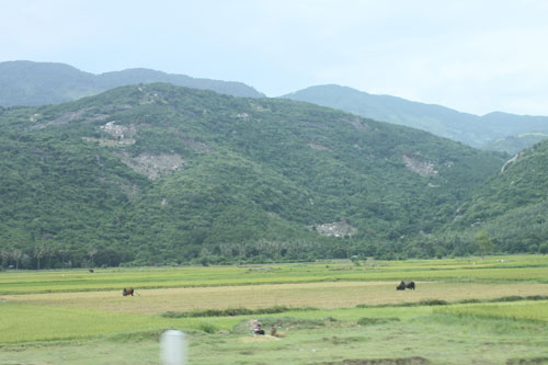 Ảnh: CÁT TƯỜNG