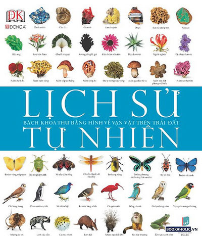 Theo khẳng định của c&aacute;c chuy&ecirc;n gia, người Việt &iacute;t chịu đọc s&aacute;ch khoa học. (Ảnh b&igrave;a c&aacute;c cuốn s&aacute;ch khoa học)