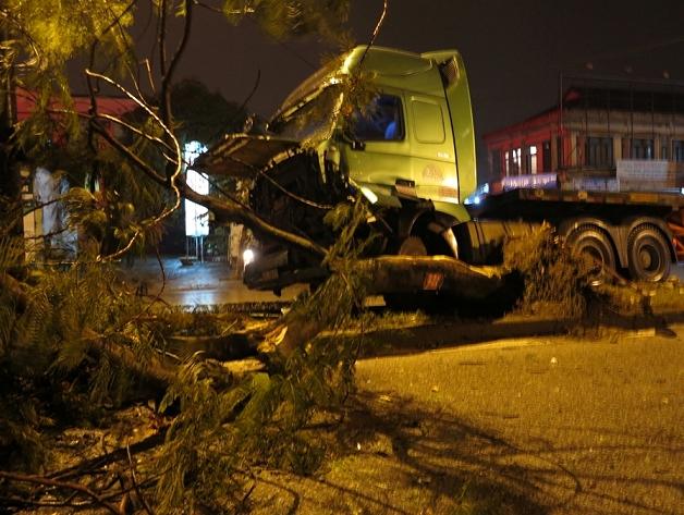 Xe đầu k&eacute;o đ&acirc;m đổ c&acirc;y phượng lớn xuống l&ograve;ng đường.