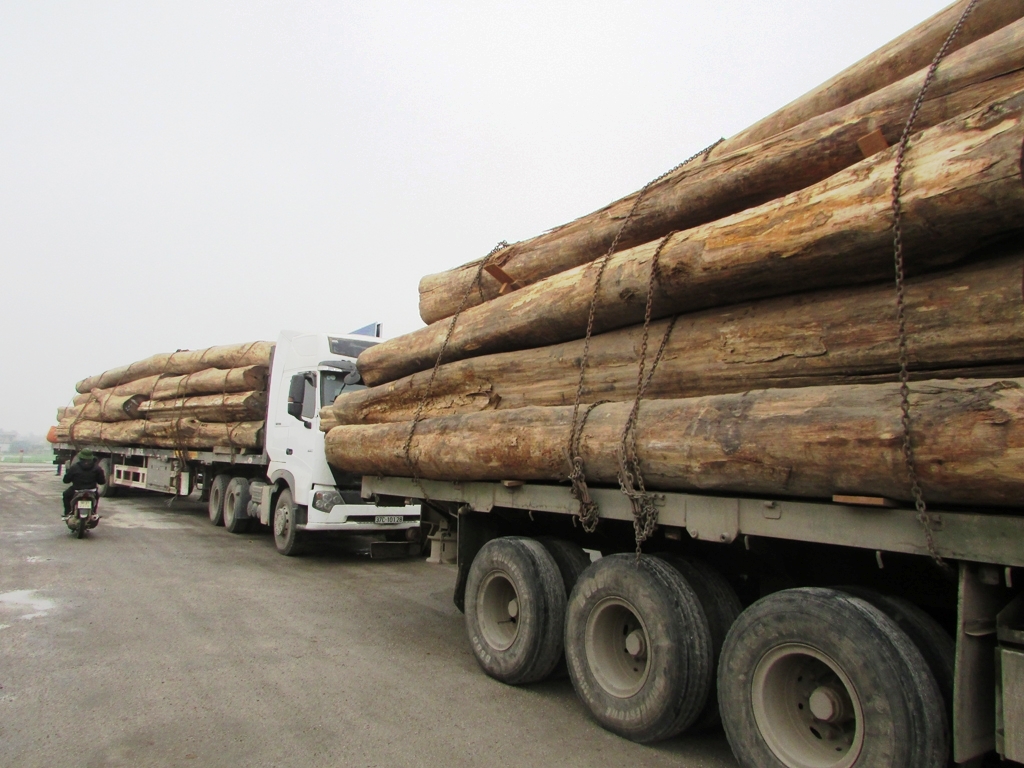 C&aacute;c xe gỗ chở qu&aacute; tải từ 20-51%.