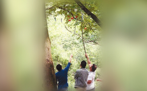 Trung Quốc: Lễ hội bị hủy vì du khách trộm chuông gió