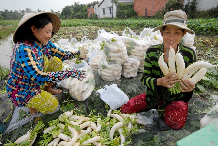 Nhờ mua b&aacute;n nhộn nhịp n&ecirc;n người d&acirc;n Việt trồng c&aacute;c loại rau, củ quả ở gần khu vực bi&ecirc;n giới rất phấn khởi v&igrave; c&oacute; đầu ra lu&ocirc;n ổn định. V&igrave; vậy, mấy năm nay diện t&iacute;ch đất trồng m&agrave;u ở khu vực n&agrave;y tăng l&ecirc;n đ&aacute;ng kể. Thu nhập của người d&acirc;n cũng khấm kh&aacute; hơn.