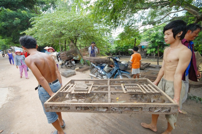 Chợ chuột mua b&aacute;n s&ocirc;i động nhất từ 5 - 9 giờ s&aacute;ng, mỗi ng&agrave;y c&oacute; từ 3 - 5 tấn chuột được thu mua l&agrave;m thịt để ti&ecirc;u thụ cho c&aacute;c nh&agrave; h&agrave;ng v&agrave; qu&aacute;n nhậu ở c&aacute;c tỉnh miền T&acirc;y, TP HCM v&agrave; cả ra miền Bắc.