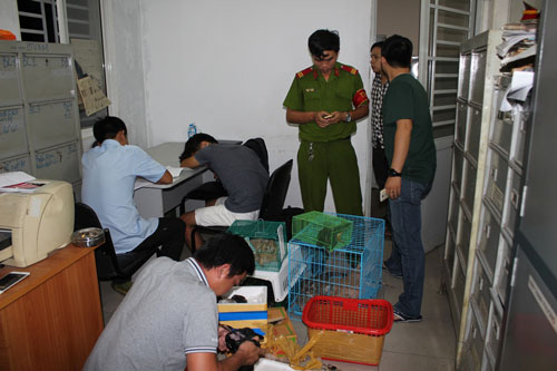 Buôn bán động vật hoang dã lan nhanh