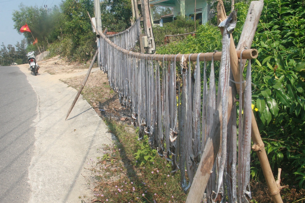 . Tr&ecirc;n c&aacute;c c&acirc;y s&agrave;o b&ecirc;n đường