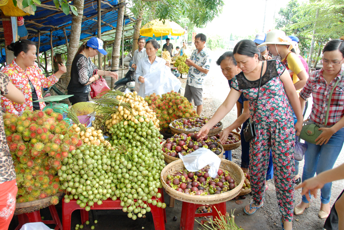 D&acirc;u da c&ograve;n được b&agrave;y b&aacute;n c&ugrave;ng với c&aacute;c loại tr&aacute;i c&acirc;y kh&aacute;c cho kh&aacute;ch đi đường v&agrave; những điểm du lịch