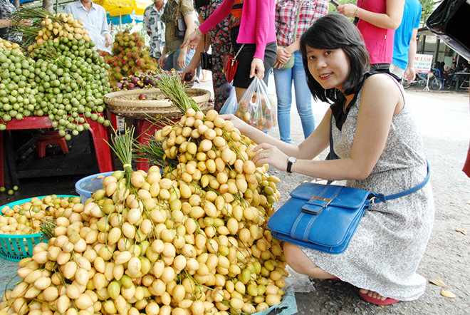 D&acirc;u l&agrave; c&acirc;y đặc sản của huyện Phong Điền, ch&iacute;nh v&igrave; vậy nhiều nh&agrave; vườn trồng d&acirc;u khi đến m&ugrave;a thu hoạch kết hợp với du lịch miệt vườn để tăng thu nhập.