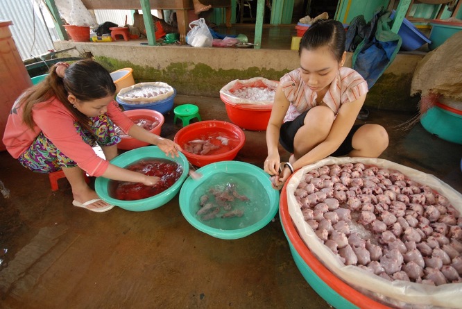 Kh&acirc;u l&agrave;m thịt chuột đa phần l&agrave; phụ nữ, trẻ em v&agrave; người gi&agrave;. B&agrave; Cao Thị Th&uacute;y Hằng, người l&agrave;m c&ocirc;ng lột da chuột ở chợ Ph&ugrave; Dật cho biết: V&agrave;o m&ugrave;a chuột rộ b&igrave;nh qu&acirc;n mỗi ng&agrave;y chị l&agrave;m khoảng 50-70 kg thịt chuột, chủ trả tiền c&ocirc;ng gần 100.000 đồng.