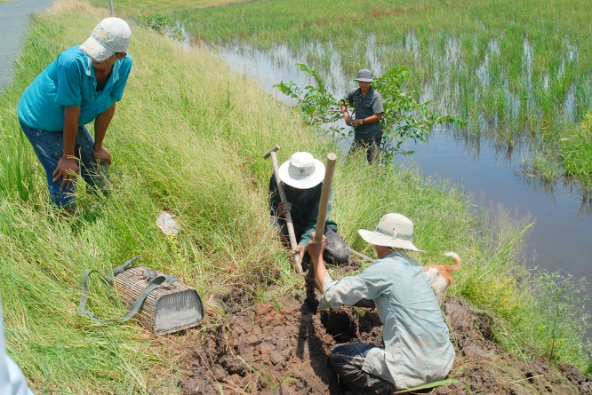 Săn chuột c&oacute; nhiều h&igrave;nh thức như đ&agrave;o hang, bẫy chuột, xiệt chuột hoặc đuổi c&ugrave; trong ruộng l&uacute;a. Tuy nhi&ecirc;n, c&aacute;ch săn chuột phổ biến nhất hiện nay l&agrave; d&ugrave;ng ch&uacute; ch&oacute; săn để đ&aacute;nh hơi những hang chuột đang sinh sống.