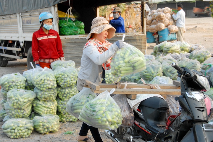 Ngo&agrave;i những chuyến h&agrave;ng được k&yacute; hợp đồng vận chuyển bằng xe tải h&agrave;ng chục tấn xuất bến từ cửa khẩu An Giang đến TP Phnom Den (Campuchia), những thương l&aacute;i d&ugrave;ng xe m&aacute;y, xe tự chế để bu&ocirc;n h&agrave;ng sang Campuchia, đồng thời mua h&agrave;ng mang về nước ti&ecirc;u thụ.
