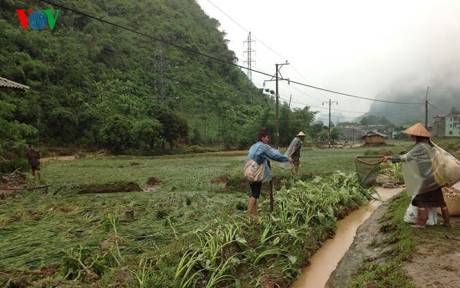 Tại xã Bon Phặng, huyện Thuận Châu nhà cửa, hoa màu bị hư hỏng nặng