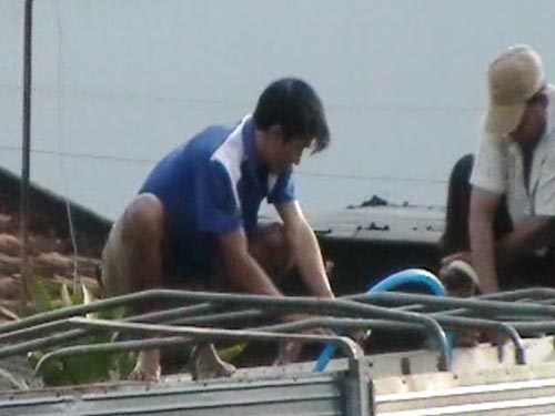 Bơm nước cho bò tăng trọng