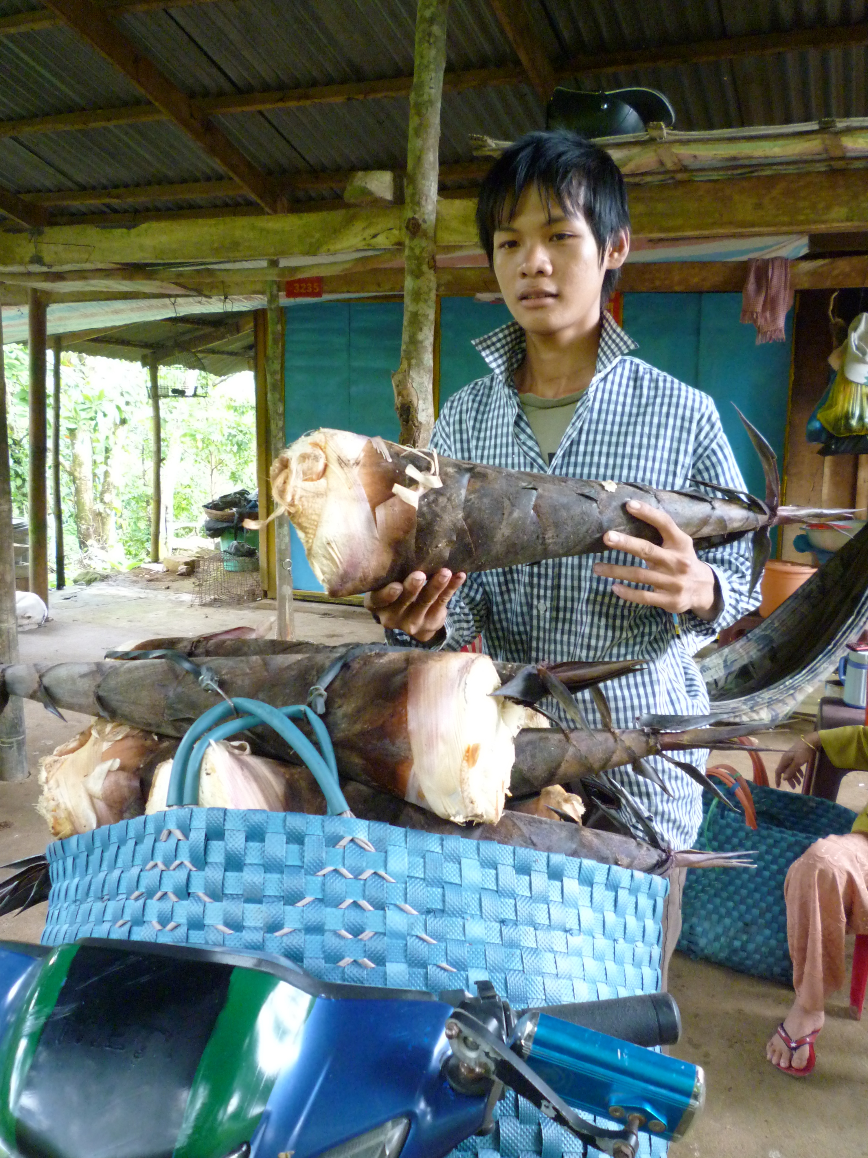 Chuẩn bị đưa măng xuống n&uacute;i