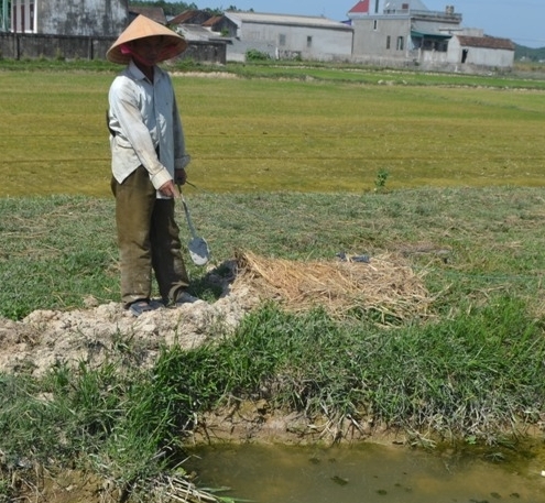 Đi bắt cua, cháu bé 11 tuổi bị rắn độc cắn chết