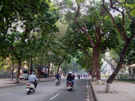 Đường Phan Đình Phùng, quận Hoàn Kiếm rất nhiều cây xanh cổ thụ. Ảnh: Nguyễn Quyết