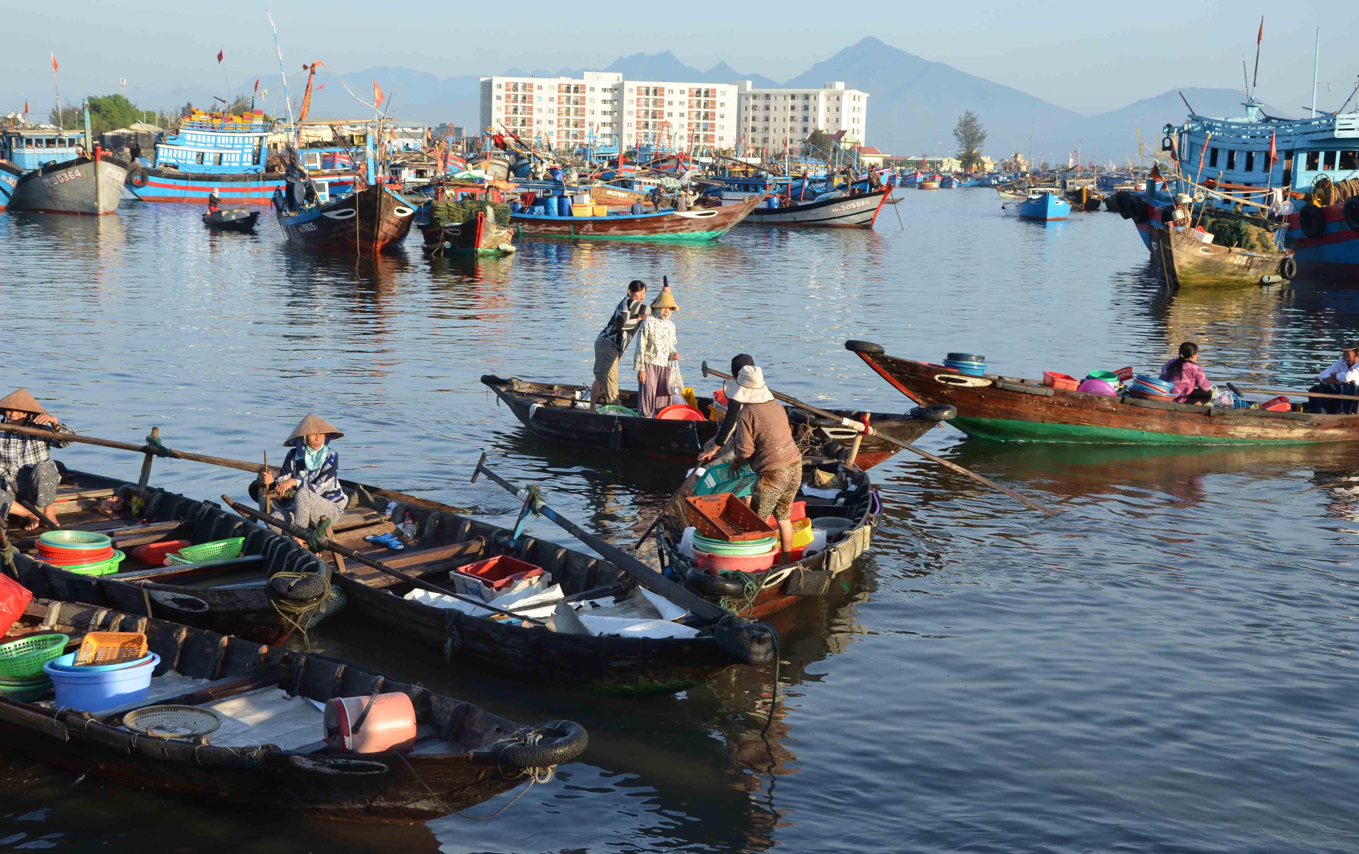 Ghe nhỏ tấp nập chở c&aacute; từ t&agrave;u v&agrave;o bờ ở cảng c&aacute; Thọ Quang