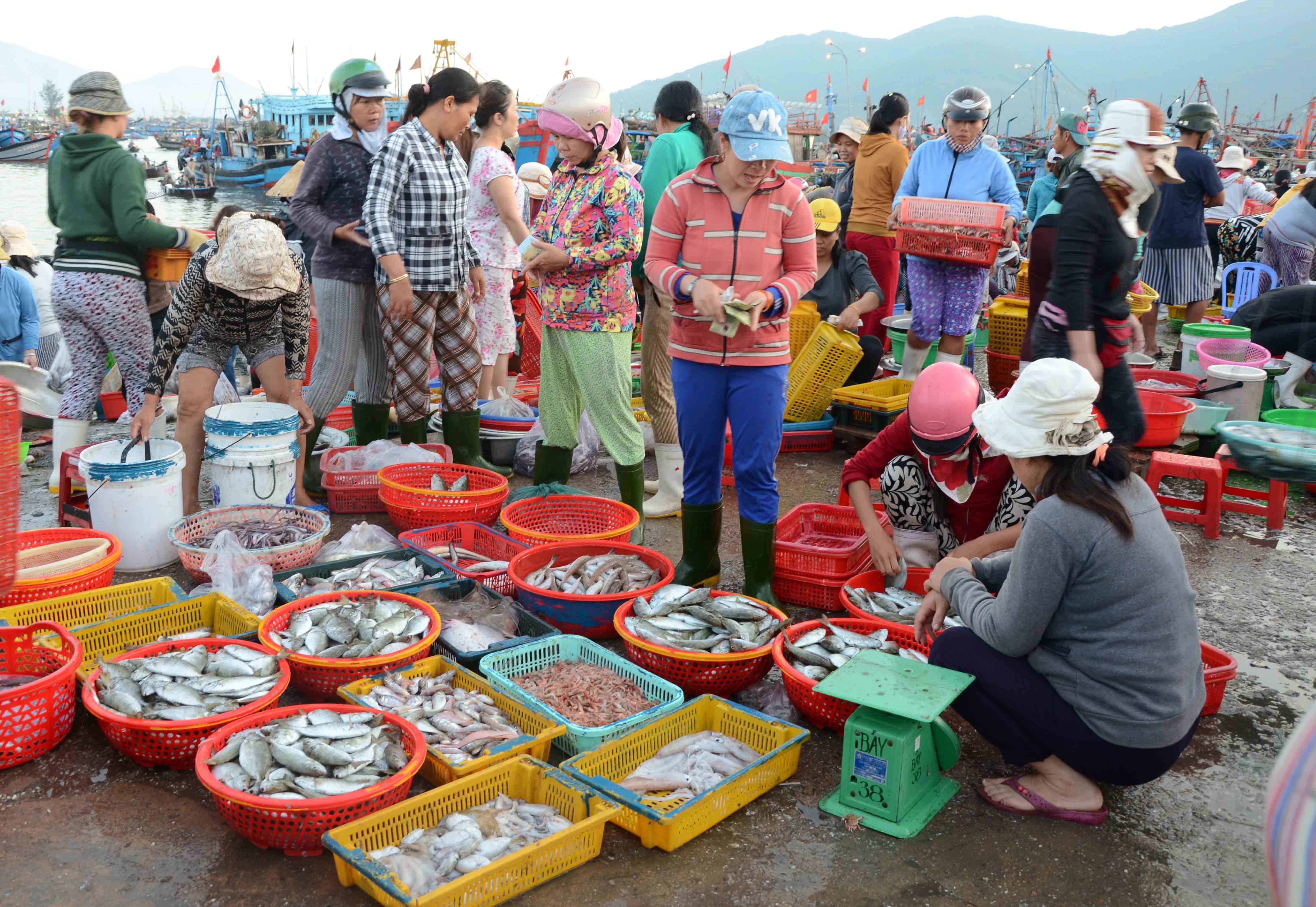 Thương l&aacute;i c&aacute;c nơi đến cảng c&aacute; Thọ Quang để mua c&aacute; đưa về ph&acirc;n phối cho c&aacute;c chợ