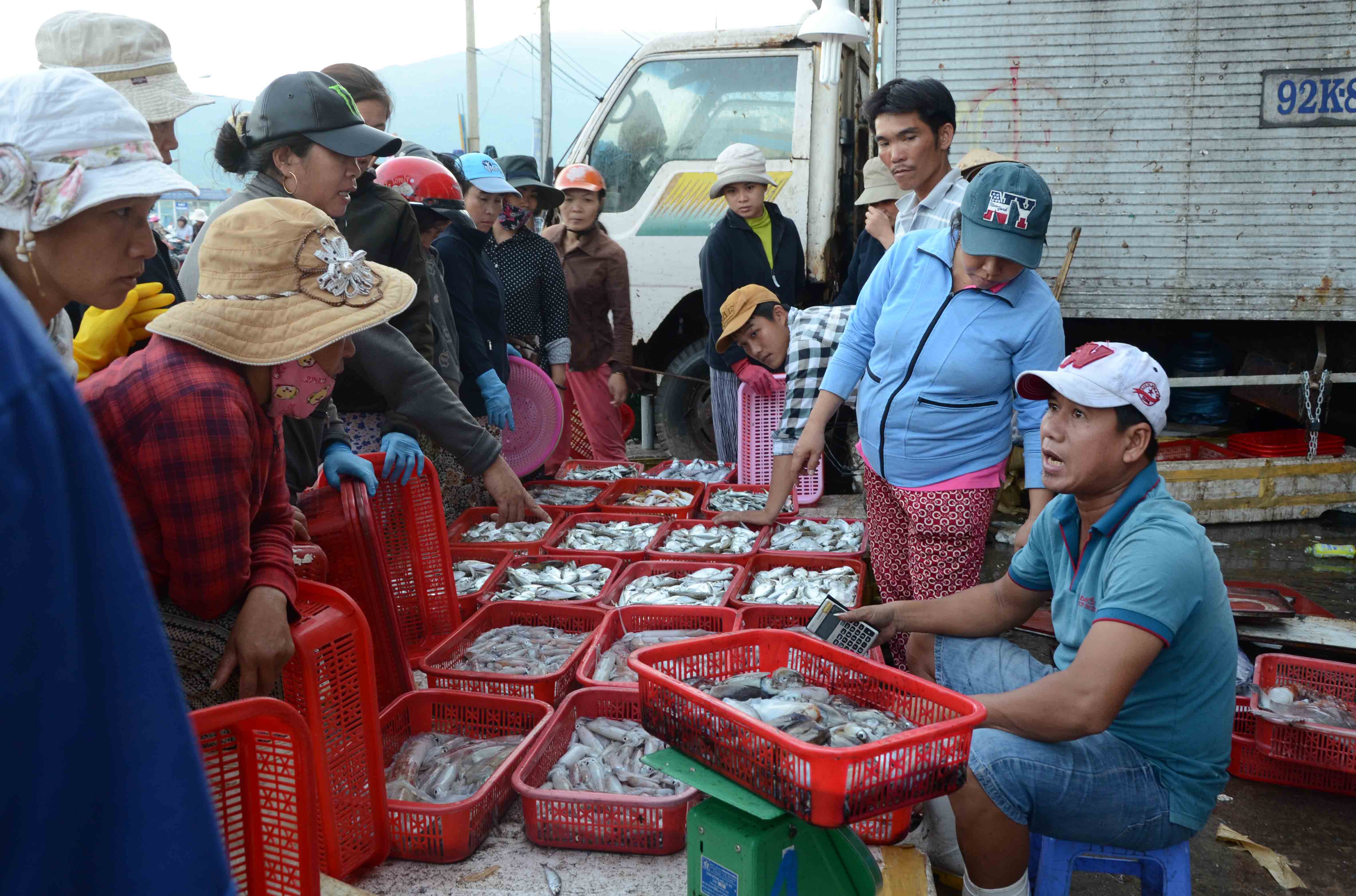 Thu mua hải sản c&aacute;c loại