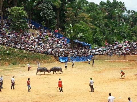 Tưng bừng lễ hội tháng giêng