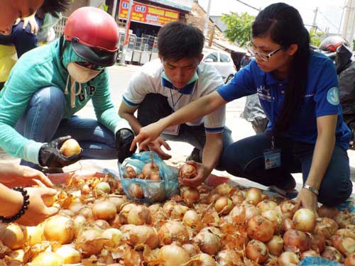“Giải cứu hành tây” giúp nông dân Đà Lạt