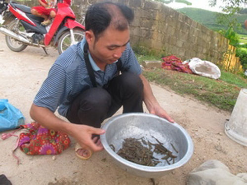 Khi thương lái Trung Quốc "cài bẫy"