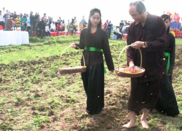 Đo&agrave;n gieo hạt đi sau gieo đỗ, ng&ocirc; v&agrave; th&oacute;c