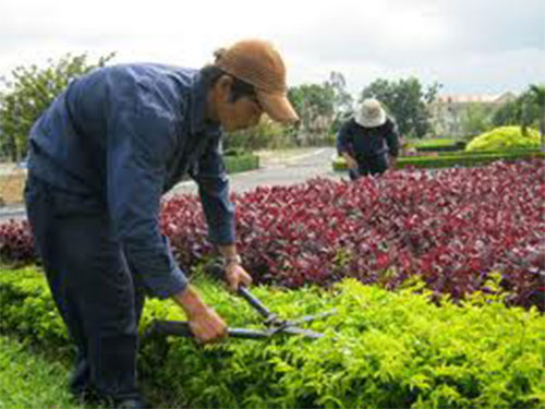 Được sử dụng lao động chưa thành niên
