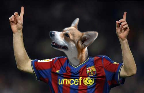 "Messi là một chú chó biết đá bóng”