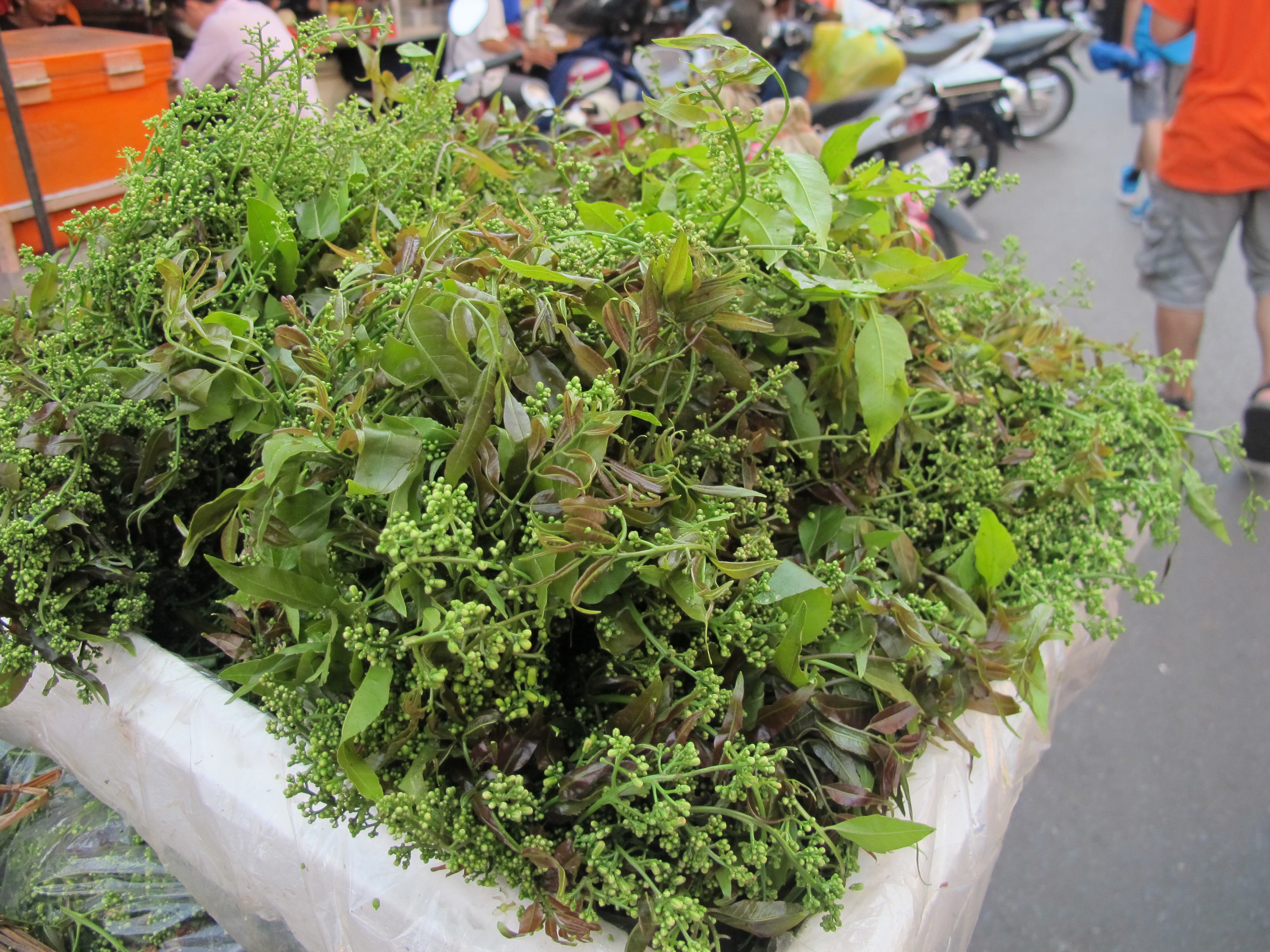 L&aacute; sầu đ&acirc;u thường trộn chung với gỏi đu đủ tạo n&ecirc;n vị đắng kh&oacute; ăn, nhưng nếu ăn quen sẽ ghiền