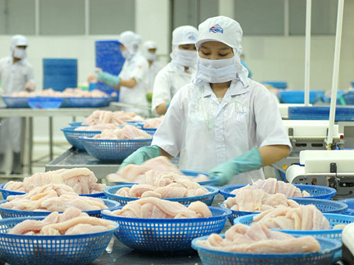 Đến đầu năm 2015, nhiều doanh nghiệp thủy sản chưa t&igrave;m được đơn h&agrave;ng xuất khẩu n&agrave;o theo chuẩn mới Ảnh: NGỌC TRINH