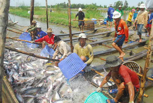Kinh tế Việt Nam tiếp tục phục hồi