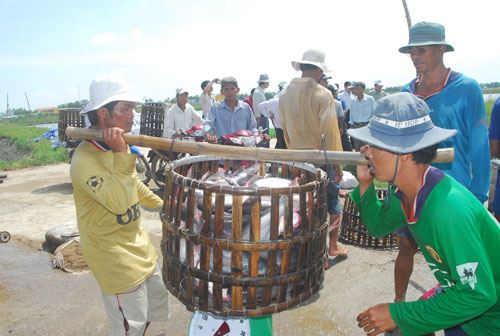 Doanh nghiệp teo tóp lợi nhuận