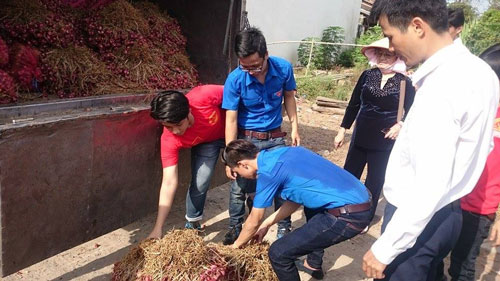 Cứu nông sản không thể dựa vào lòng hảo tâm