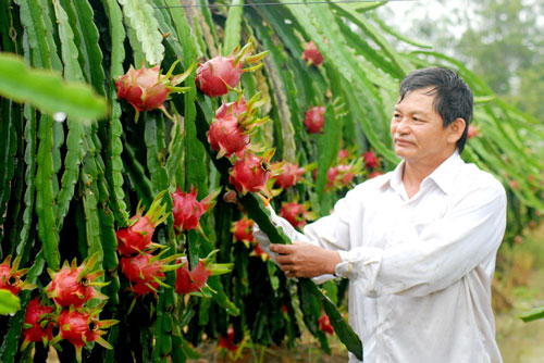 Giảm lệ thuộc thương lái Trung Quốc
