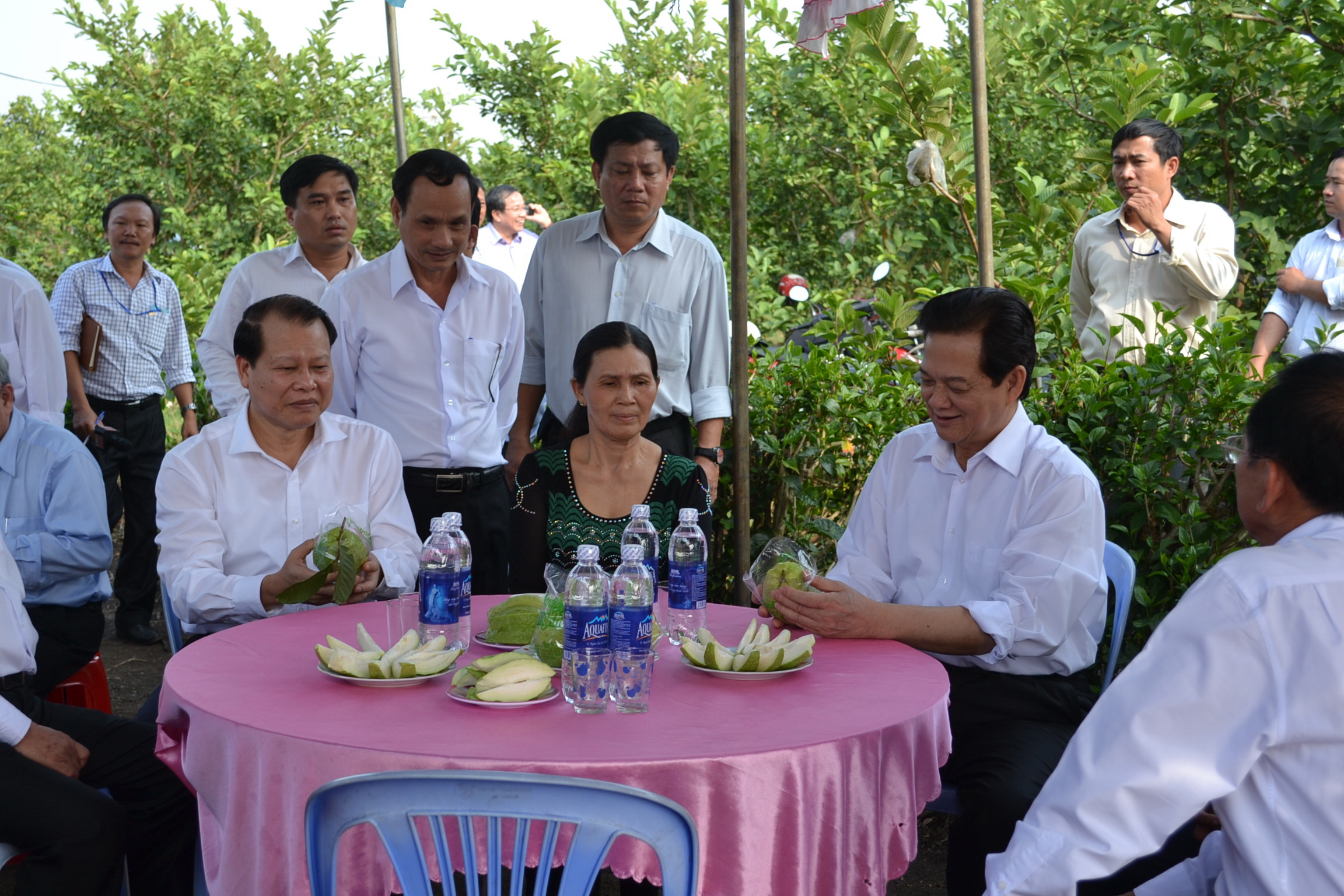 Thủ tướng Nguyễn Tấn Dũng thăm một tổ hợp t&aacute;c sản xuất ổi tại thị x&atilde; Long Kh&aacute;nh, tỉnh Đồng Nai. Long Kh&aacute;nh l&agrave; 1 trong 2 đơn vị đạt chuẩn n&ocirc;ng th&ocirc;n mới đầu ti&ecirc;n tr&ecirc;n cả nước              Ảnh: Xu&acirc;n Ho&agrave;ng