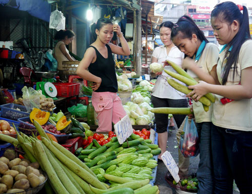 Bấp bênh lao động nhập cư