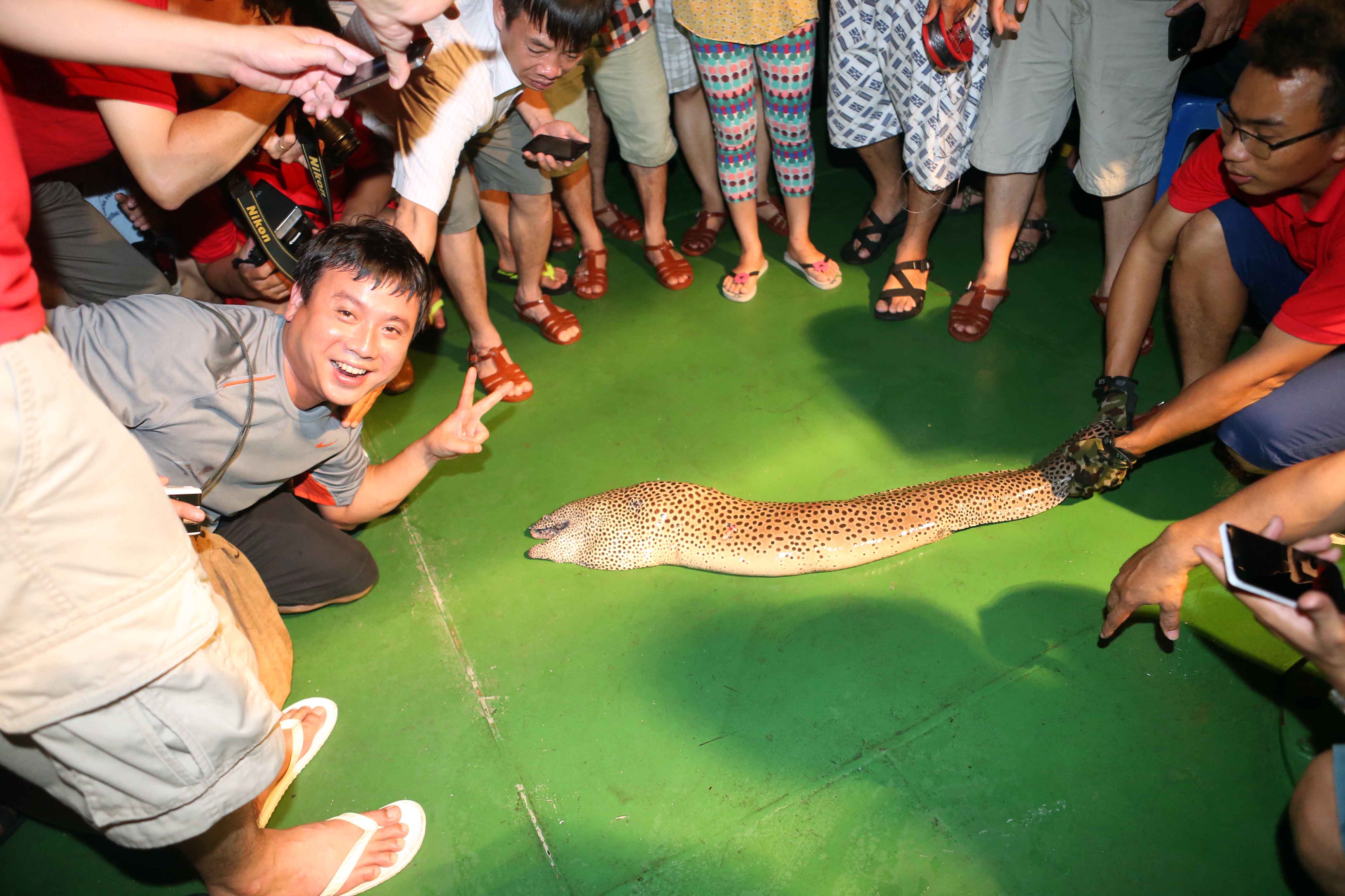 Ch&uacute; ch&igrave;nh b&ocirc;ng hơn 12 kg