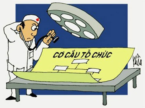 Điều chuyển do tái cơ cấu