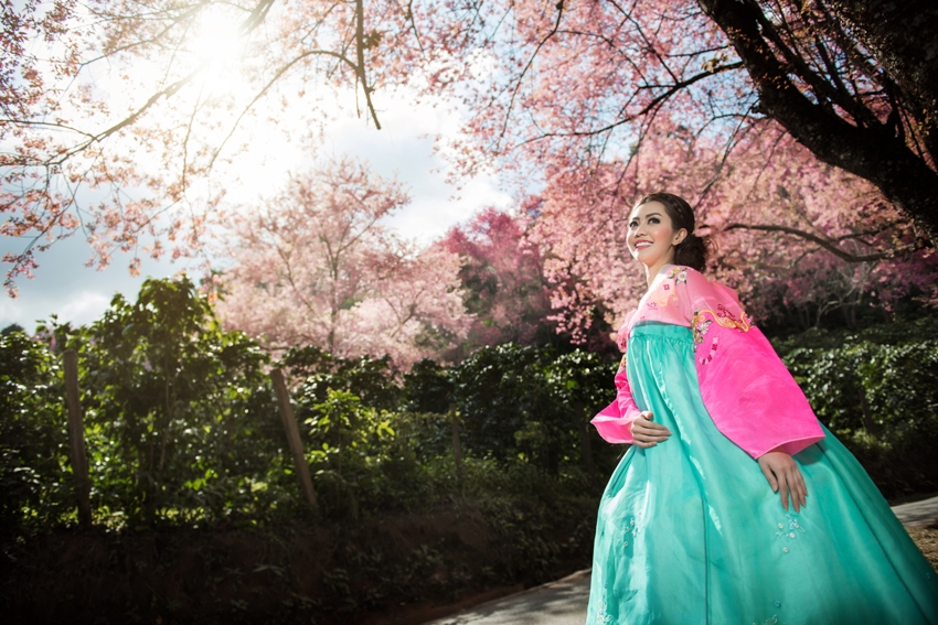 Cô gái Hàn Quốc e ấp trong bộ trang phục hanbok vào mùa xuân