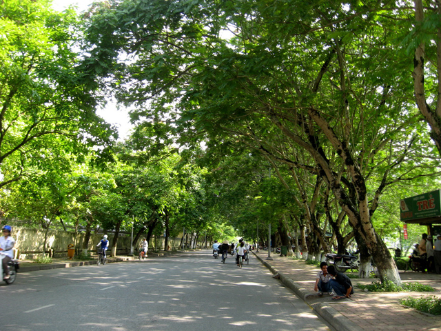 Những con đường nhỏ nên thơ