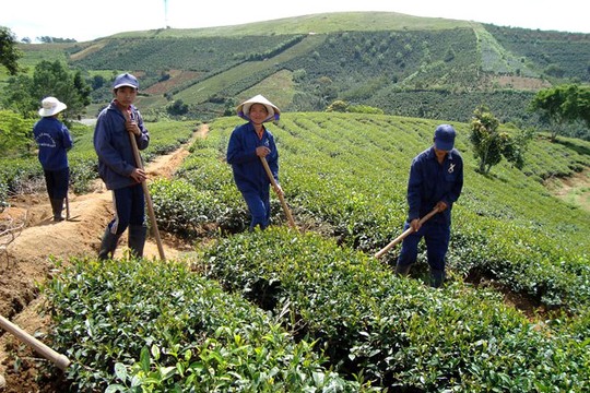 Vụ bà Hà Linh bị giết: Gia đình chỉ nhìn được mặt nạn nhân
