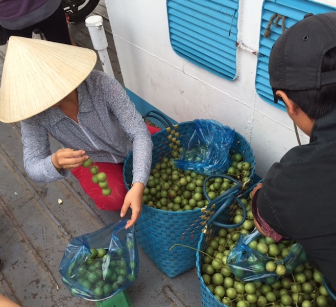 Nh&agrave; vườn ở thị x&atilde; B&igrave;nh Minh đem d&acirc;u xanh b&aacute;n cho c&aacute;c chợ ở Cần Thơ