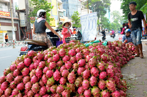 Nông sản Việt bị tiếng xấu