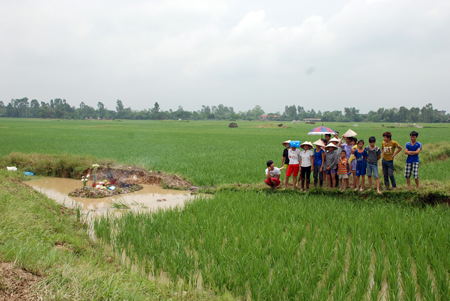 Mải làm việc, bị sét đánh chết trên đồng