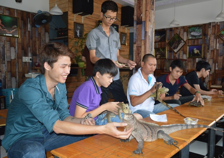 Phong tr&agrave;o chơi b&ograve; s&aacute;t - th&uacute; cưng đang ph&aacute;t triển mạnh ở Bu&ocirc;n Ma Thuột