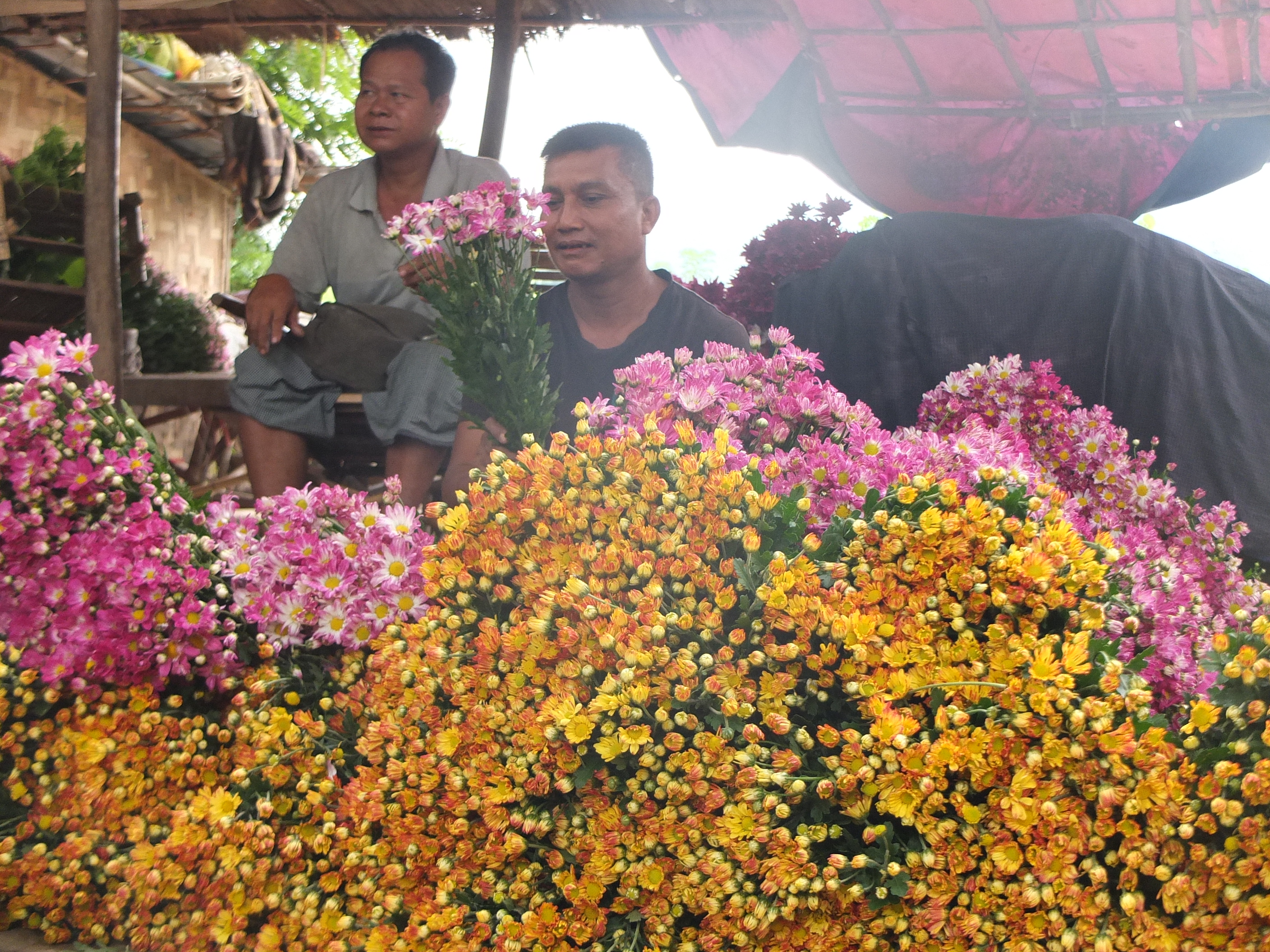 H&igrave;nh ảnh những đấng m&agrave;y r&acirc;u ngồi sau những kh&oacute;m hoa vừa lạ vừa dễ thương
