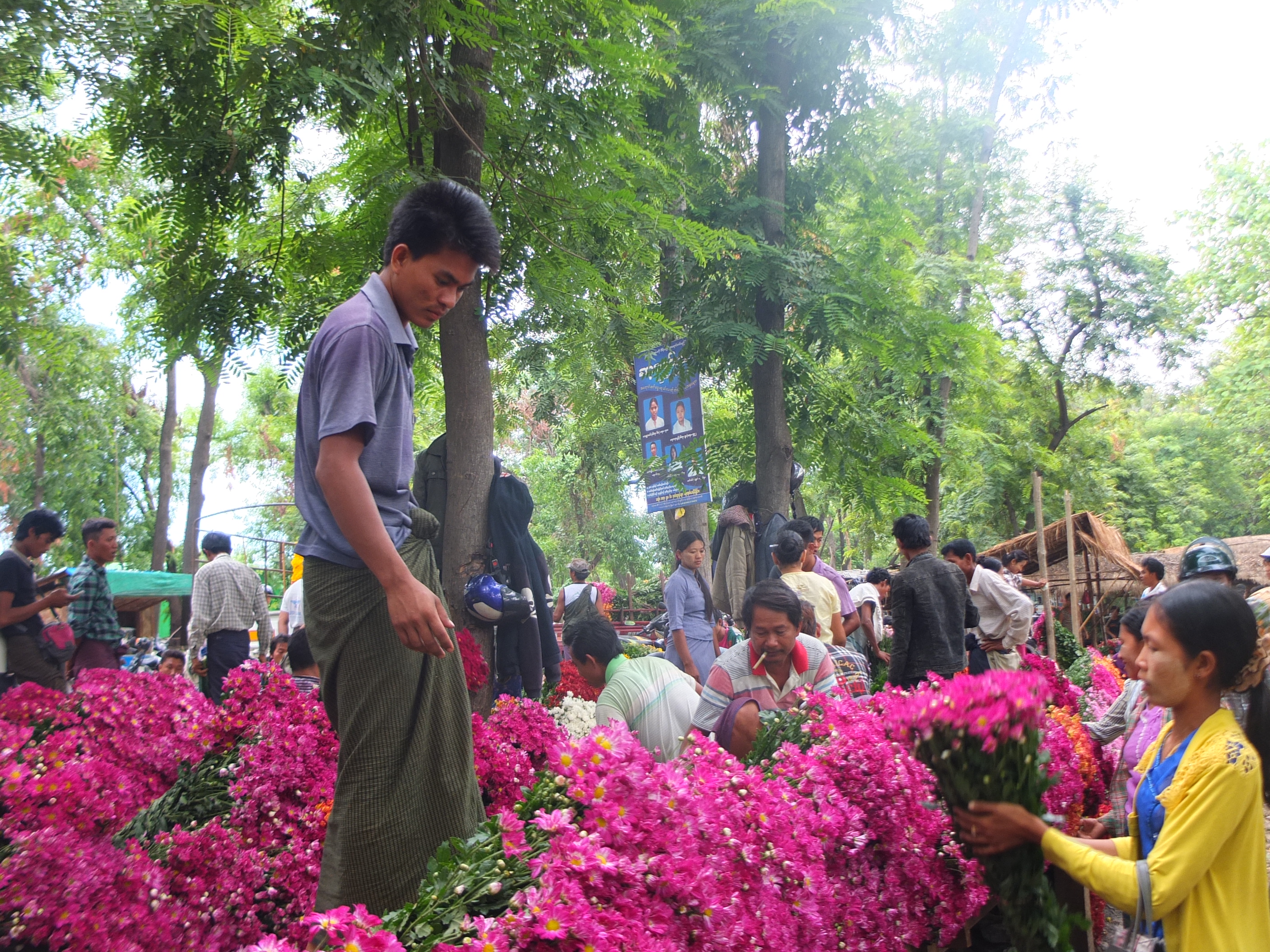 Gặp nhiều đ&agrave;n &ocirc;ng b&aacute;n hoa ở đ&acirc;y hơn phụ nữ